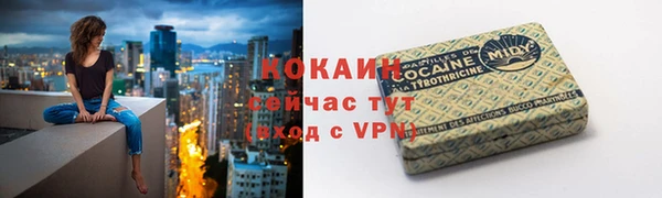 мет Бородино