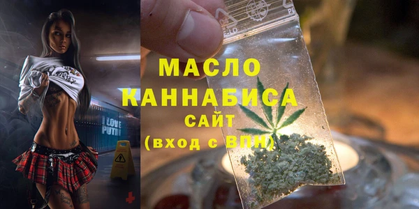 индика Струнино