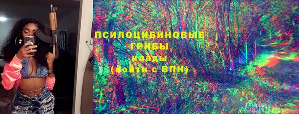 мет Бородино
