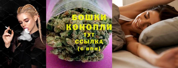 мет Бородино