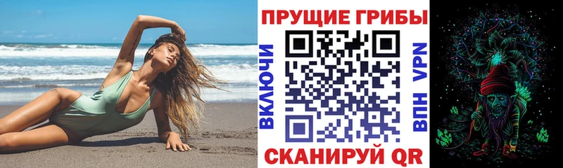 Галлюциногенные грибы Psilocybine cubensis  Кириши 